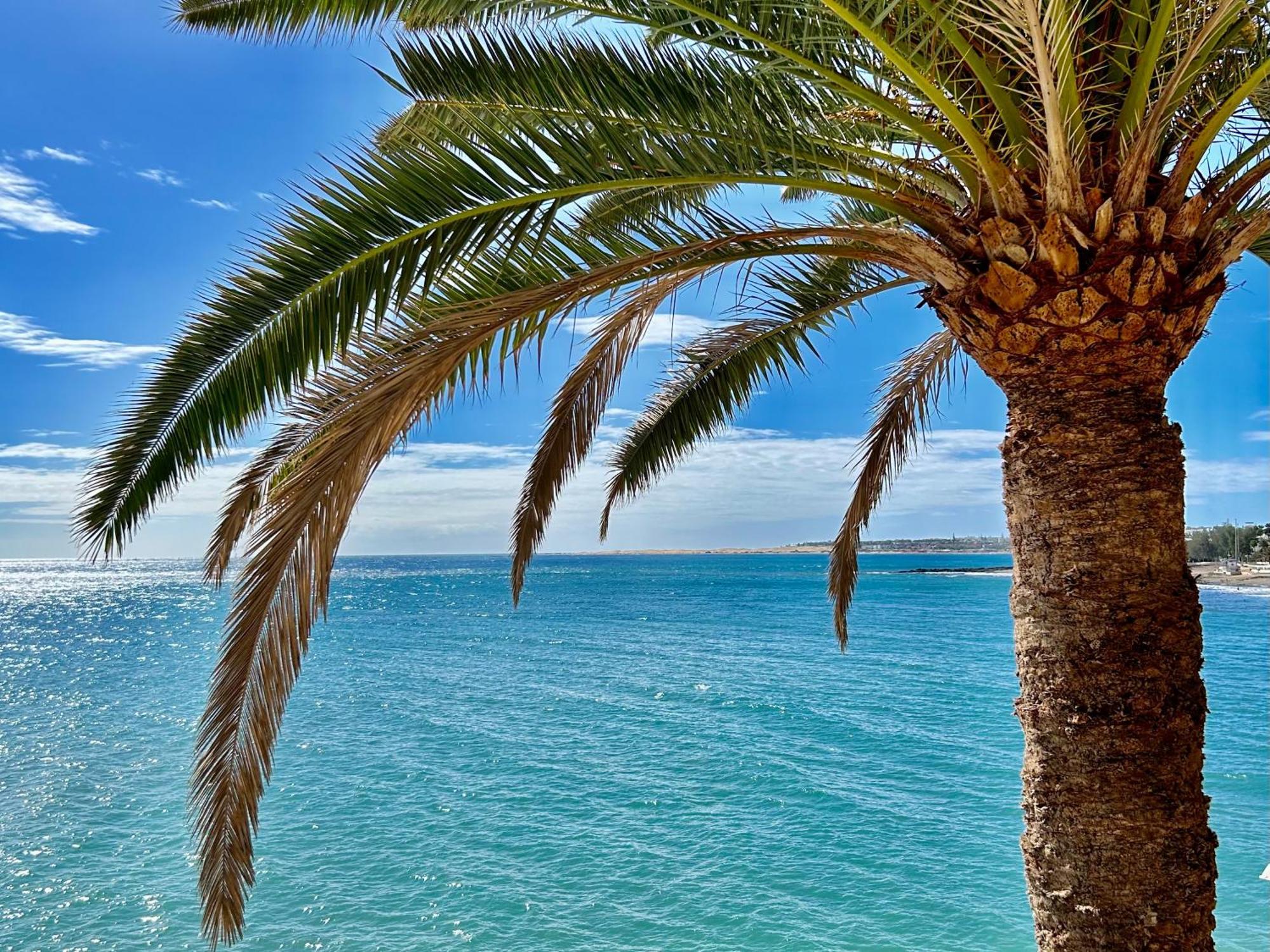 Sobre El Mar Con Vistas A Las Dunas De Maspalomas San Agustin  Bagian luar foto